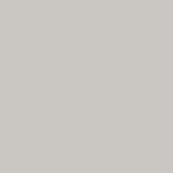 ARDEX FL Rapid Set Flexible Sanded Grout (10 lb bag)